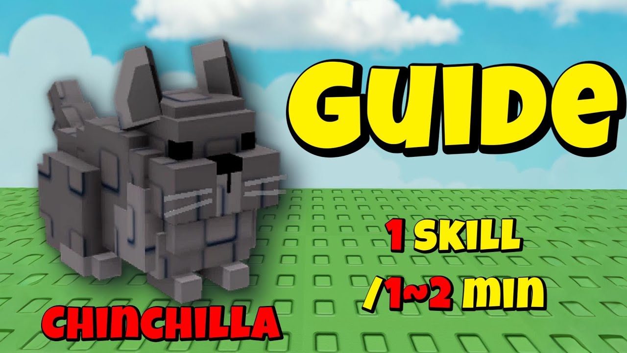 How OP Is the New CHINCHILLA Pet? Full Review, Combos & Trading Tips!