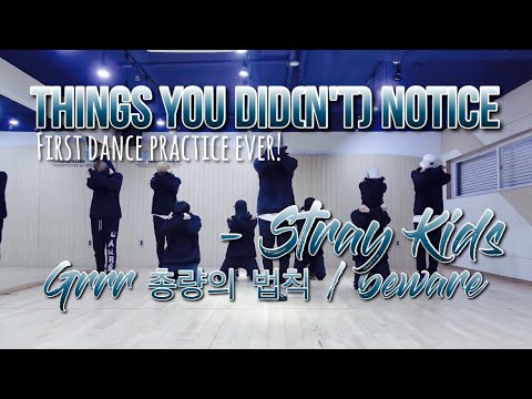 THINGS YOU DID(N'T) NOTICE in Grrr 총량의 법칙/Beware Dance Practice / Stray Kids