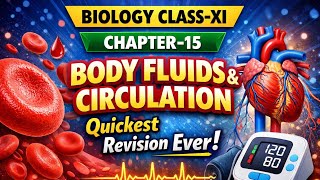 Biology Class 11 Chapter 15 | Body Fluids & Circulation – Quickest Revision Ever for Exams