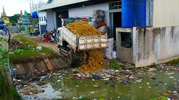 Start a New Landfill Project! Using Skill Driver Dozer D20P Pushing Soil with 5Ton Truck Unloading