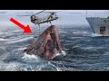 10 Largest Sea Monsters Caught In The Ocean!