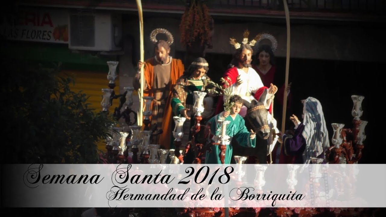 Hdad Borriquita Semana Santa 2018