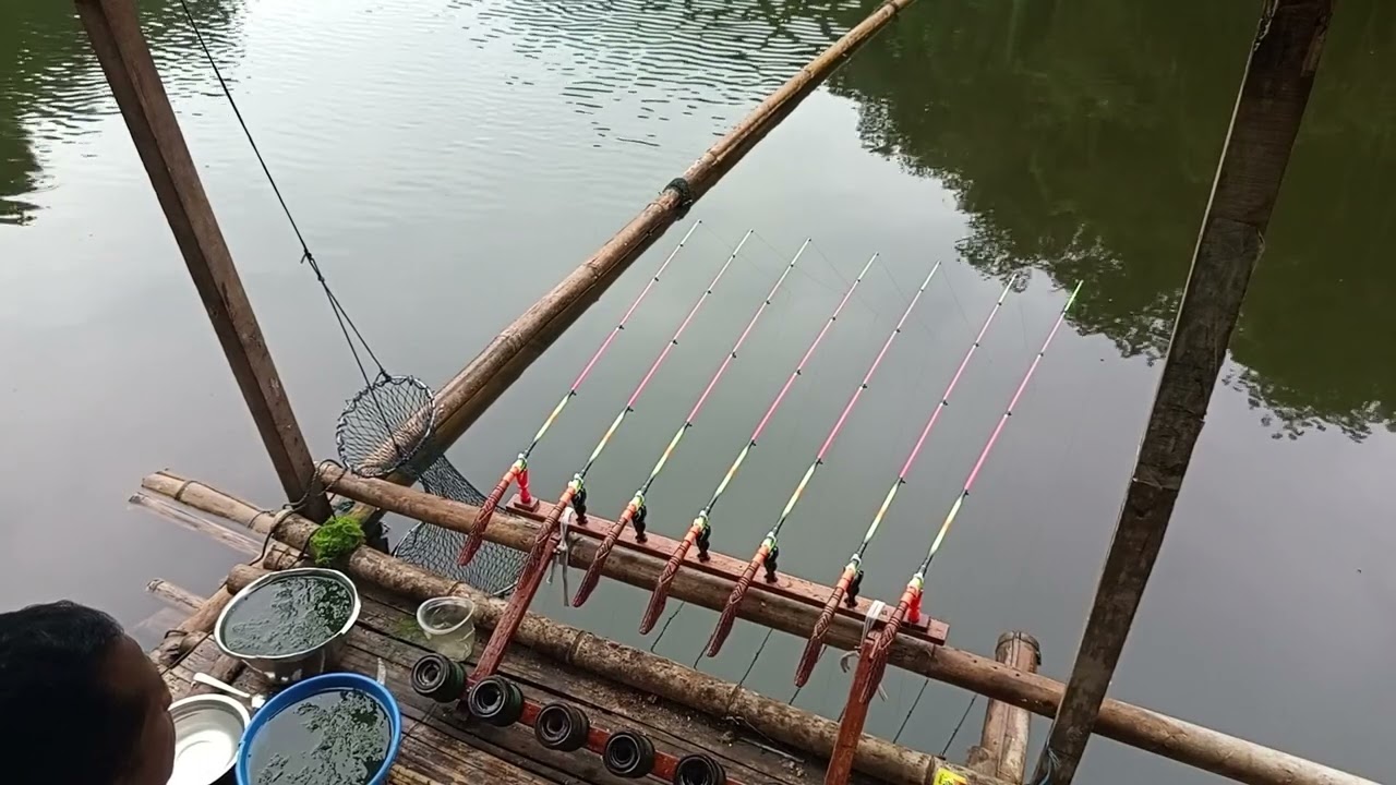 Mancing#cirata#calingcing# serangan ikannya bikin ketagihan#👍🤙,#cirata terbaru#jatiluhur#saguling#