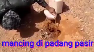 Lihatlah cara orang ini mancing di Padang pasir