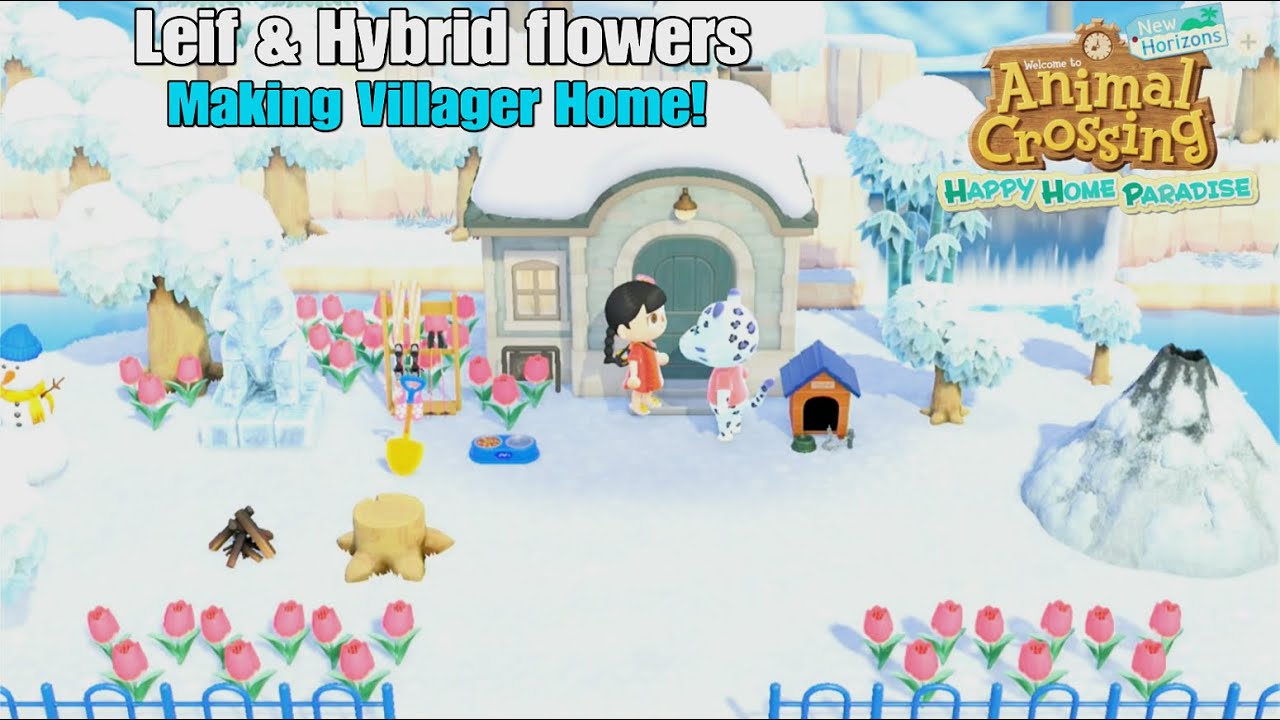 Animal Crossing NH Happy Home Paradise - Leif & Making Hybrid Flowers Villager Home
