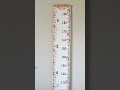 Tracking Milestones! 📏 Beinou Baby Growth Chart Review