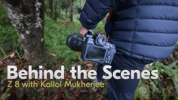 Behind the scenes with Nikon Z 8: The best camera for wildlife shoots