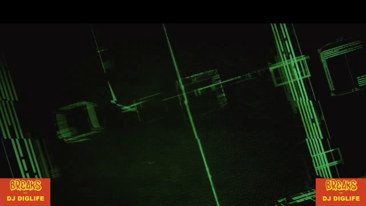 DJ Diglife - In The Mix