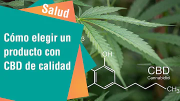 ¿Cuáles son los mejores productos de CBD?