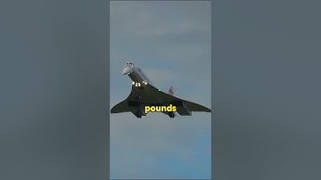 He Built The Biggest RC 😨