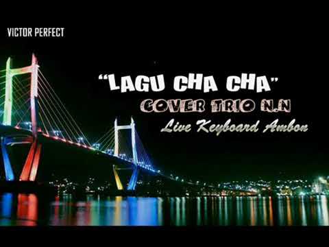 Relaxing Piano Music 🎹 Radio