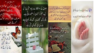 Islamic quotes Urdu|Urdu Quotes|Motivation Quotes|Heart touching Quotes|Sidra Noor