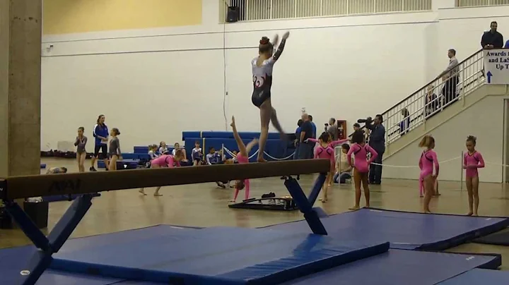 Level 5 Kimberlynn Maxon Chicago Style Beam 9.675