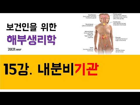 해부생리학) 15강. 내분비기관