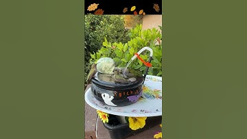How to Make a Hummingbird Fountain from Candy Bowl ❤️the Hummingbirds Love by the Hummingbird Feeder