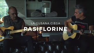 La Gusana Ciega - Pasiflorine (Acústica) chords