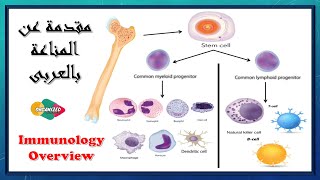 Immunity overview | المناعة بالعربى .. من هو الجهاز المناعى - الخلايا المناعية - طرق المناعة ؟