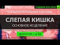 1.6.13 🎧 Здоровье Слепой Кишки, Толстый Кишечник ГЛУБОКОЕ ИСЦЕЛЕНИЕ (резонансный саблиминал)