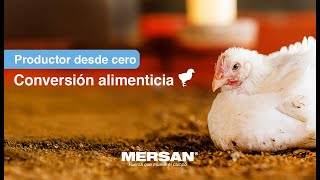 Productor Desde Cero Capítulo 6 Conversión Alimenticia Y Cambios De La Semana 5