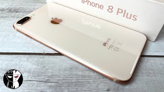 Купить iPhone 8+ в 2023 году?