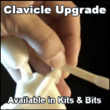 Armature Nine Clavicle Upgrade