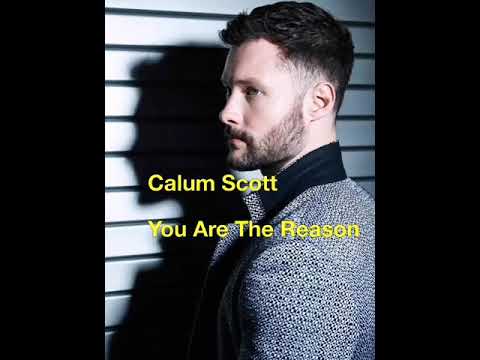 Calum Scott (You Are The Reason)HQ