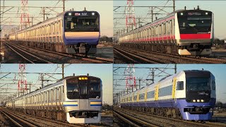 【朝日を浴びて走る】内房線 巌根~袖ヶ浦を走行する列車(E217・E235・209・255・E257・E233系)を撮影
