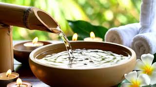 Relaxing Bamboo Music with Gentle Piano Sounds to Soothe the Heart and Refresh the Mind Daily
