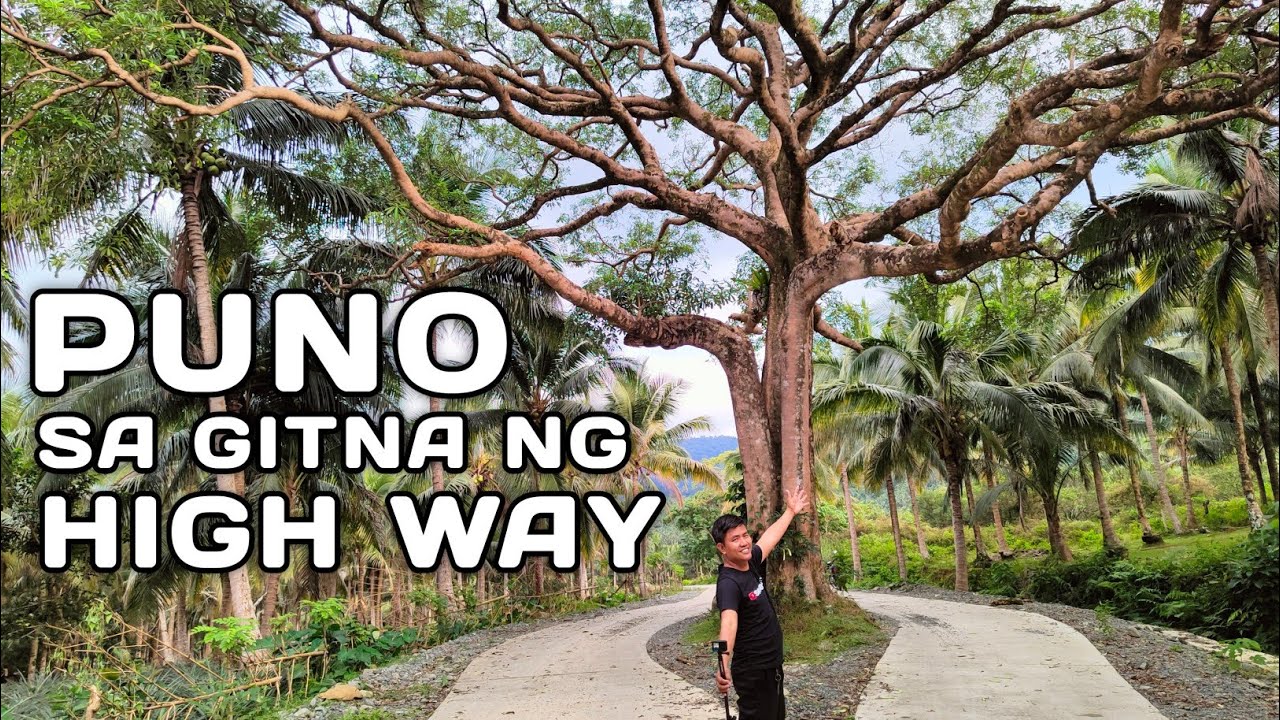 Malaking PUNO sa GITNA ng BAGONG KALSADA | Ser Sam TV