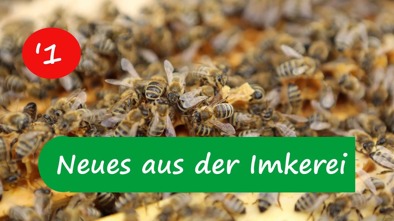 Grega´s Imkerei Deine Familienimkerei Produktbild-Vorschau 8