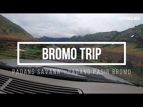 Padang Savana - Padang Pasir Bromo Naik Mobil [ Opel Blazer Dashcam Indonesia ]