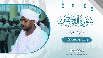 تلاوة هادئة وممتعة | ما تيسر من سورة القصص | صلاة العشاء | شيخ مجتبى محمد فضل الله 