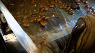 Amazingly fast potato unloading