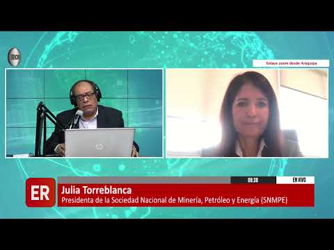 SITUACIÓN TRAS LA REGLAMENTACIÓN DE LA LEY 32213 QUE REGULA EL REINFO