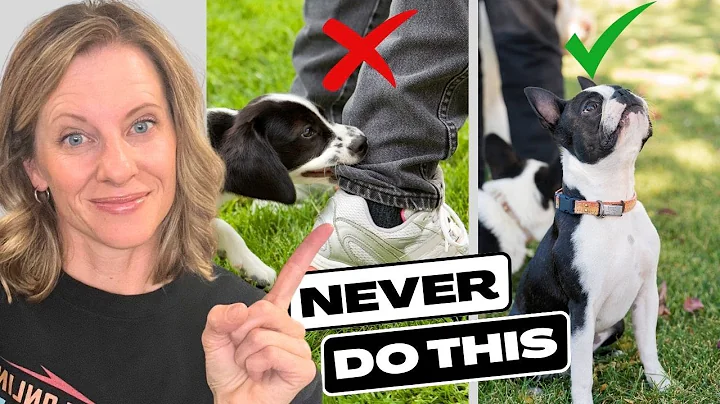 The BIGGEST Mistake People Make with Puppy Biting