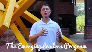 The Emerging Leaders Program