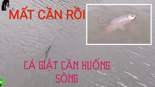 TRÔI ĐIÊN LÔI MẤT CẦN