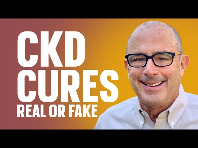 Can You Cure CKD? Real Treatments vs. Fake Cures Explained by Expert Nephrologist Dr. Rosansky class=