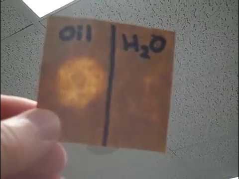⌬Brown Paper Test for Lipids - Mr Pauller - YouTube
