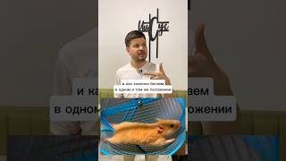 ВЫЙДИ ИЗ ЗАМКНУТОГО КРУГА 🐹⭕️| #библия #бог #психология #прощение #bible #god #psychology #forgive