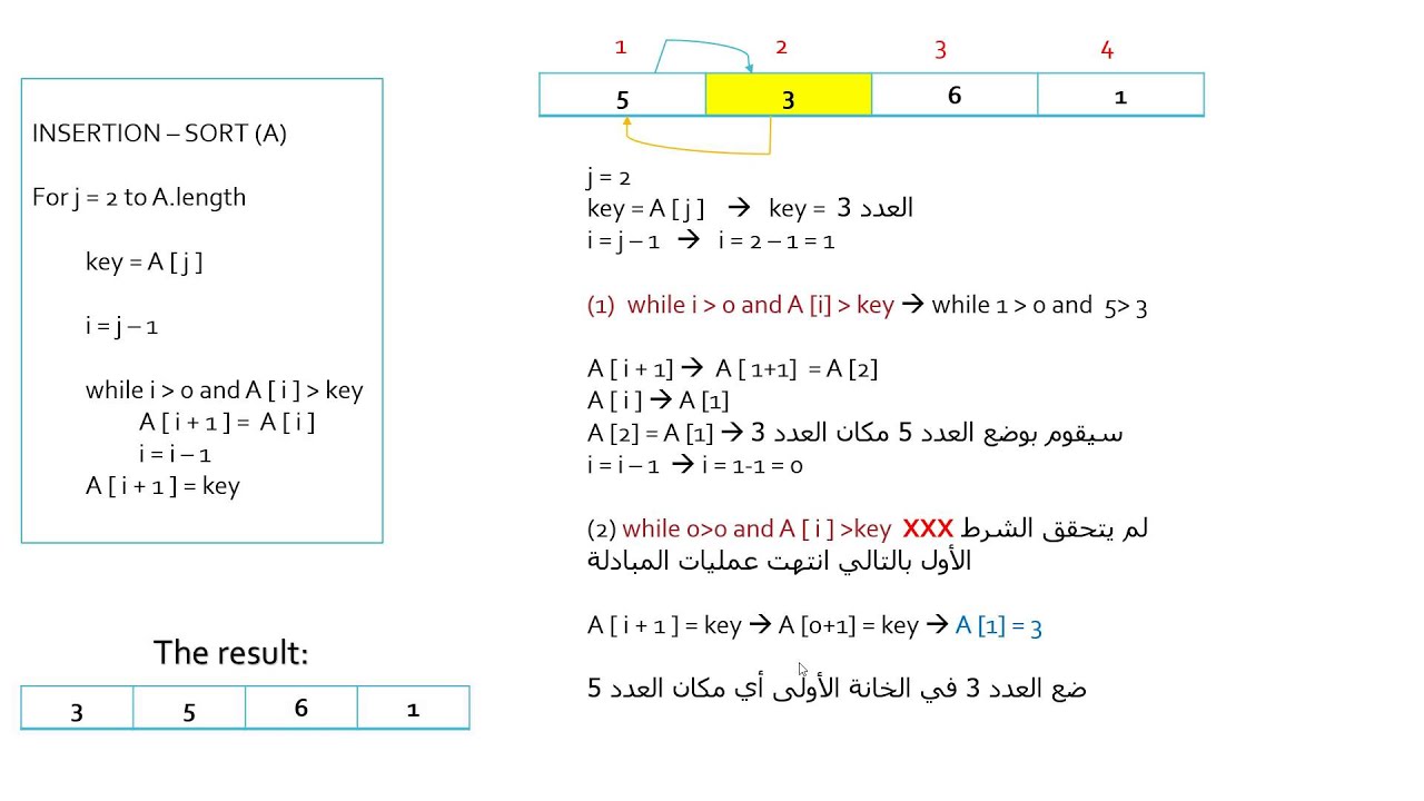 شرح Insertion Sort Algorithm الدرس 1 YouTube