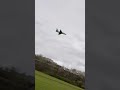 Hobby king viper 64 hand launch