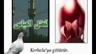 Grup Fedaiyan, Gönlümüzün Sultanı Resimi