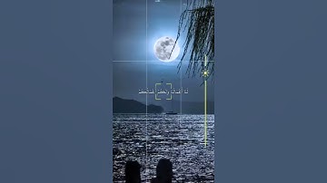 وأمرت لاعدل بينكم سورة الشورى القاريء محمد انور الشحات 🤍🖤.