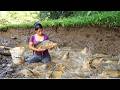 Fishing Technology: Amazing fishing, Catch A Lot Of Fish | Lý Tiểu Duyên