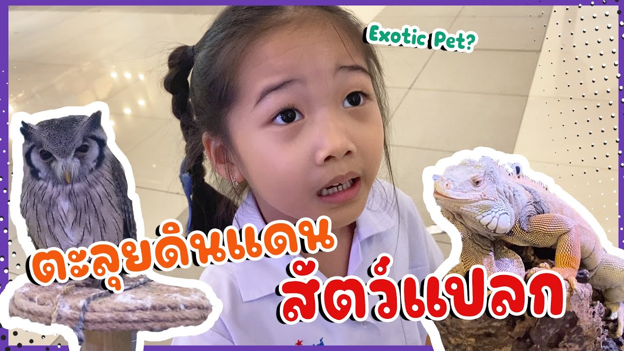 Exotic Pet YouTube exotic-pet-youtube