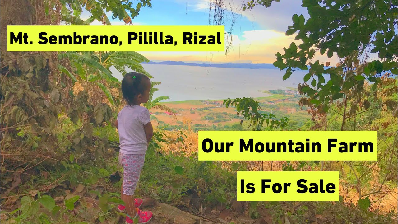 Sembrano Mountain Farm For Sale Mt.Sembrano, Brgy Niogan, Pililla, Rizal ...