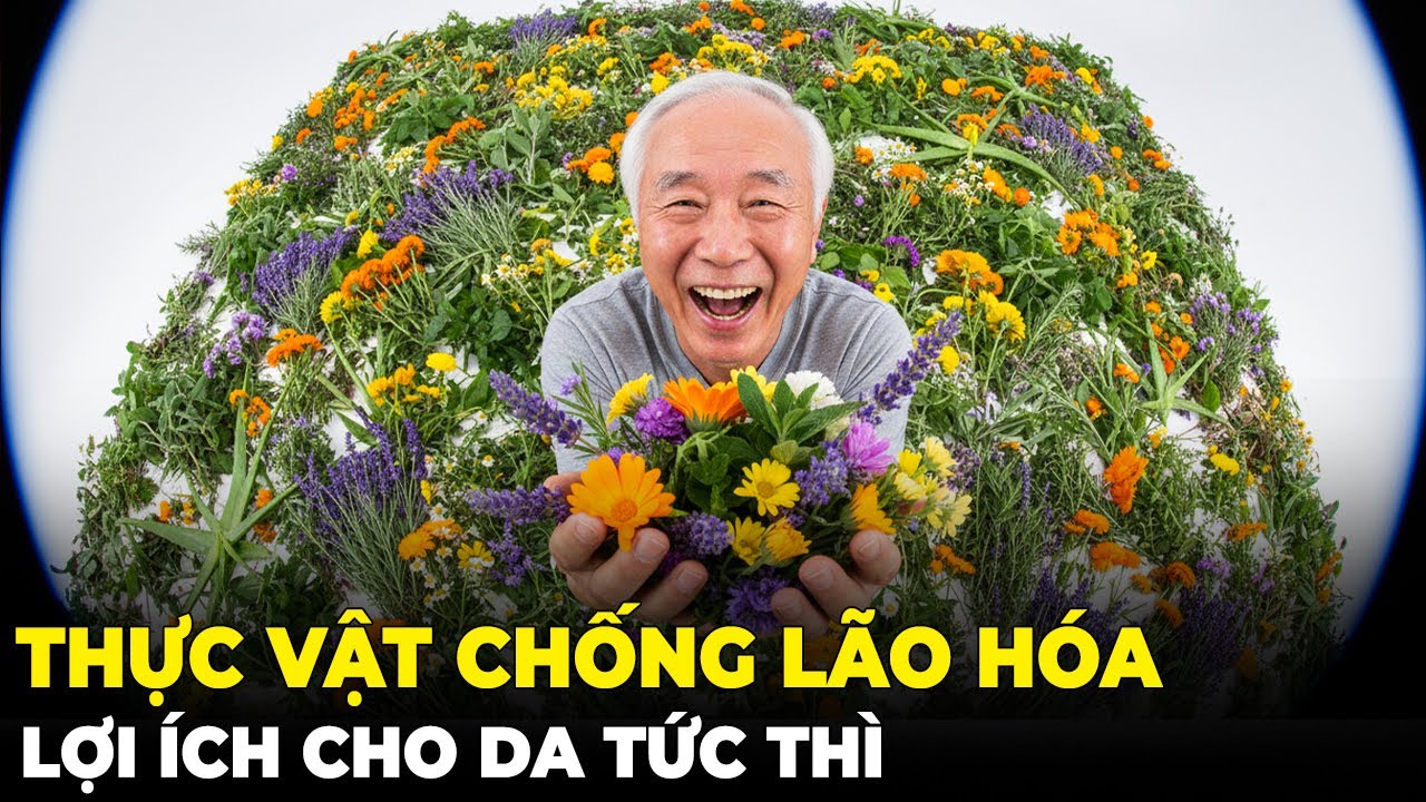 20 Loại Cây Chống Lão Hóa ĐỈNH CAO Giúp Da Trẻ Lại Ngay Lập Tức