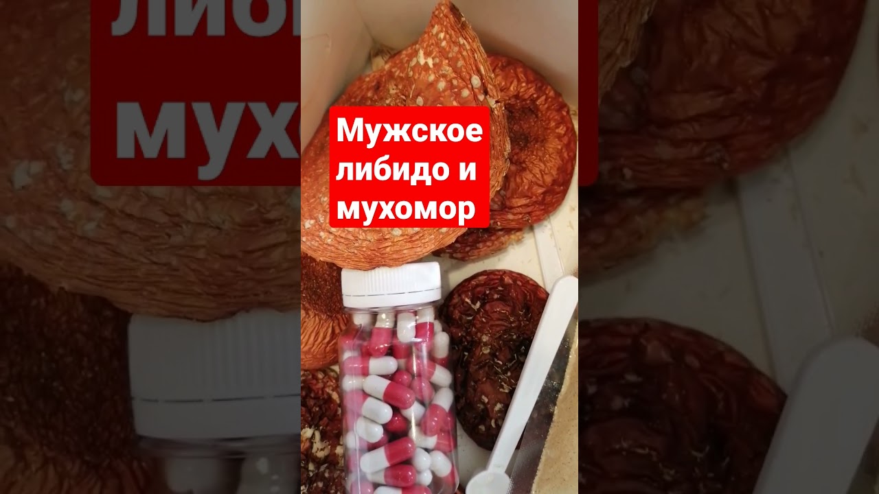 Мужское желание