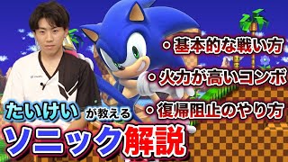 【スマブラSP】期待の新星『たいけい』が教えるソニック講座【スマブラ スイッチ】